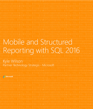 Microsoft SSRS Reporting Feature