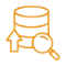 Master Data Management